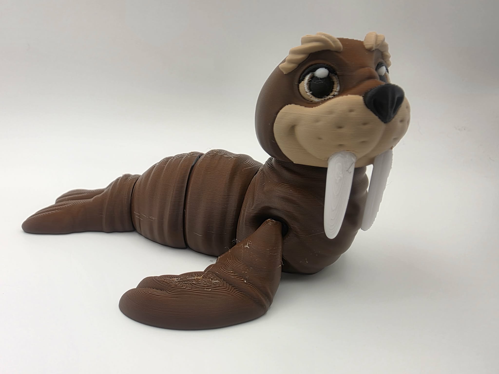 Walrus - Tuskers - 6" Long x 5.5" Tip of Flapper to Tip of Flapper x 3" Tall - Chocolate, Matte Light Brown, White, Black 3D printed item image