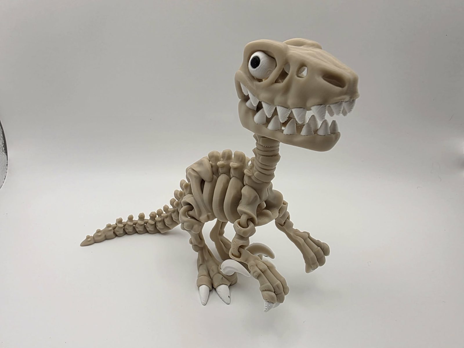 Skeleton Raptor - Standard - 6.25" Long x 1.75" Wide x 5" Tall 3D print product image