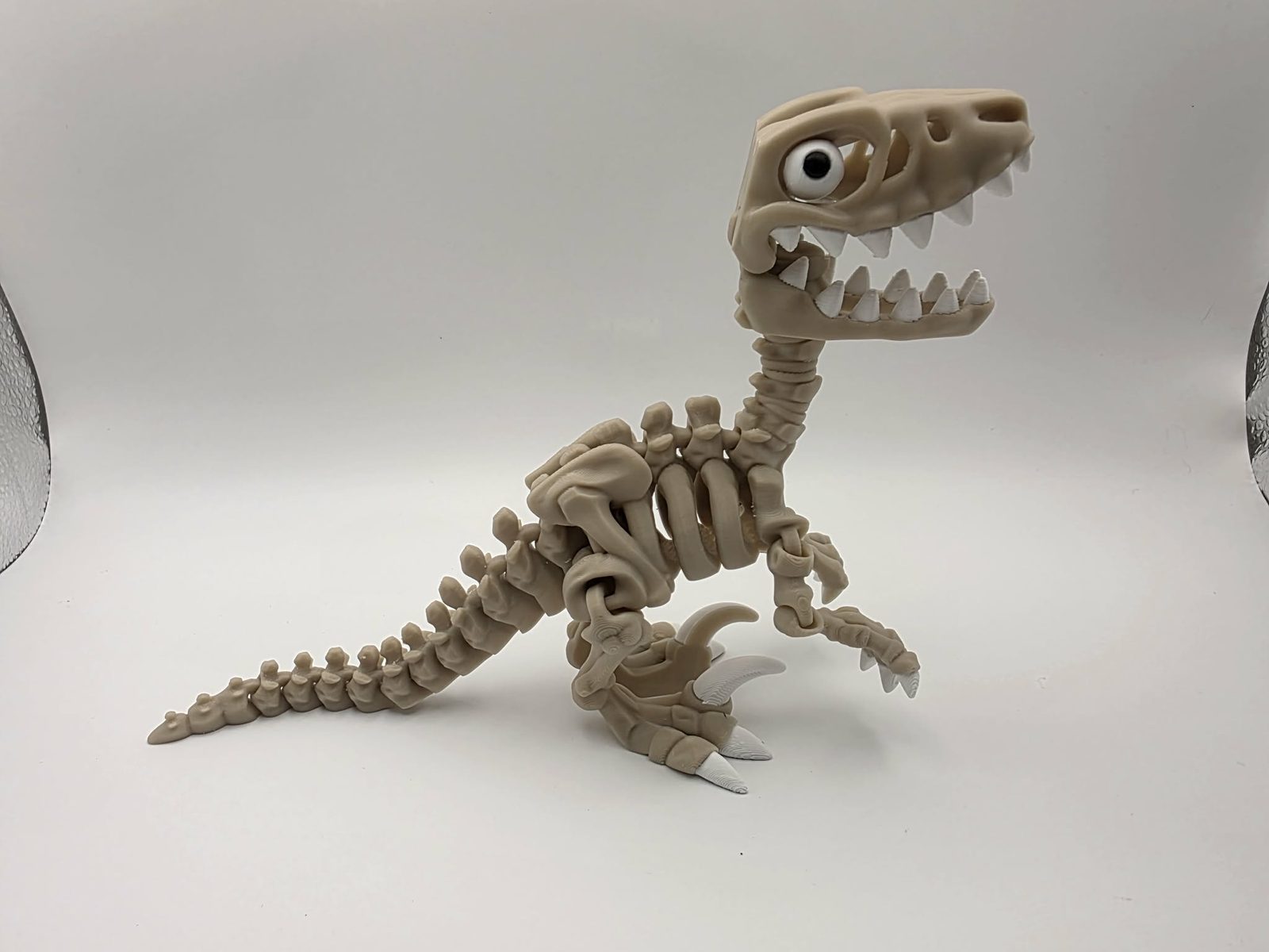 Skeleton Raptor with Eyes - Chompy - 6.25" Long x 1.75" Wide x 5" Tall - Bone White, White, Black 3D printed item image
