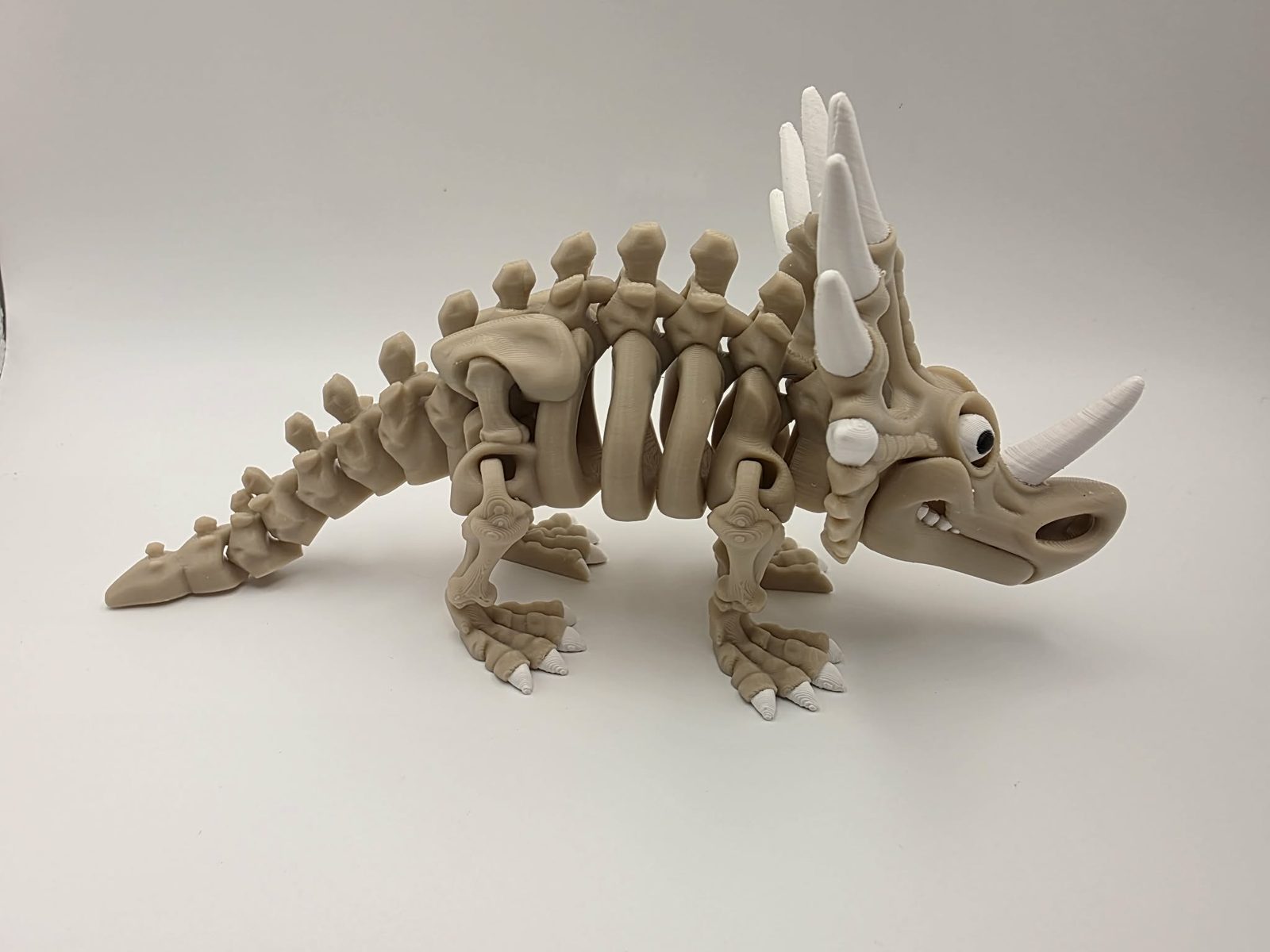 Skeleton Styracosaurus - Pointy Pete - 7.5" Long x 3.75" Wide x 3.75" Tall - Bone White, White, Black 3D printed item image