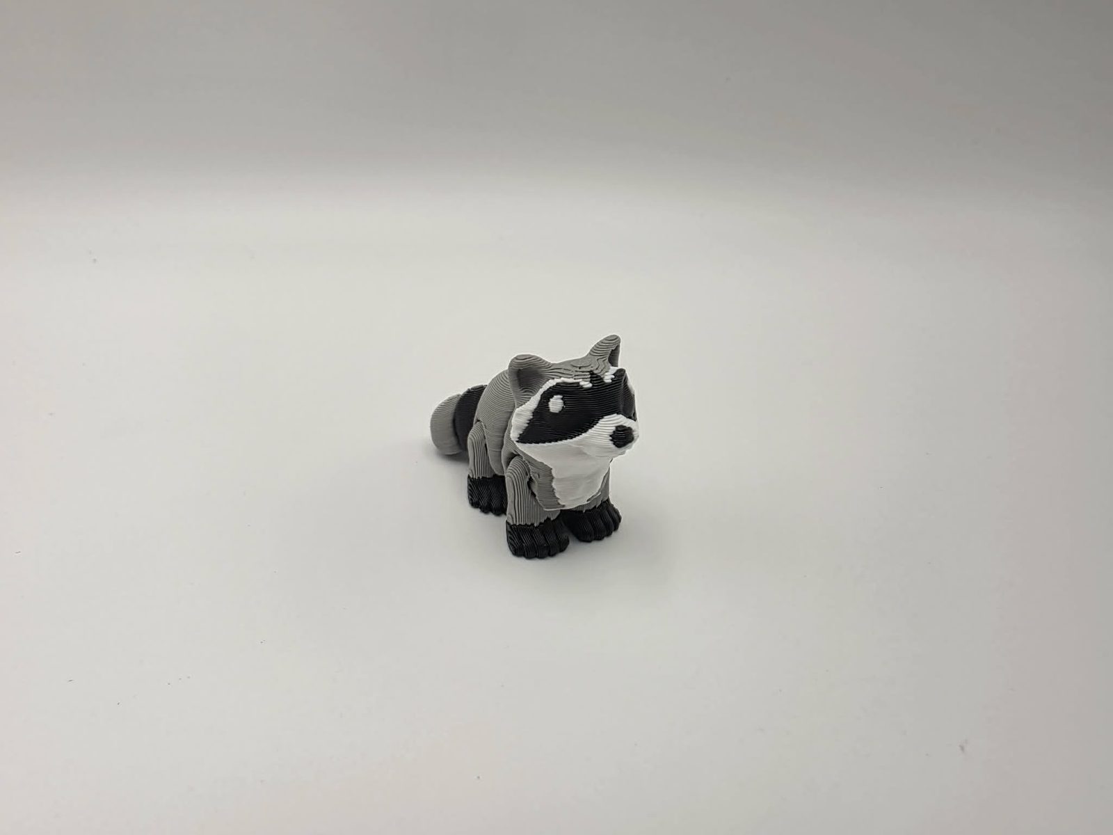 Racoon - Mini 3D print product image